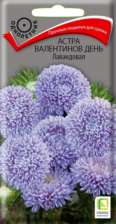 Астра Валентинов день Лавандовая, 0,2 г