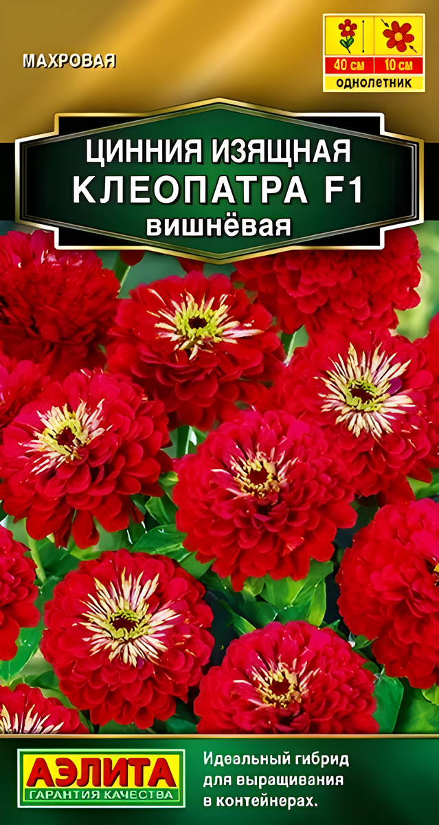 Цинния изящная Клеопатра F1, вишневая, 12 шт.