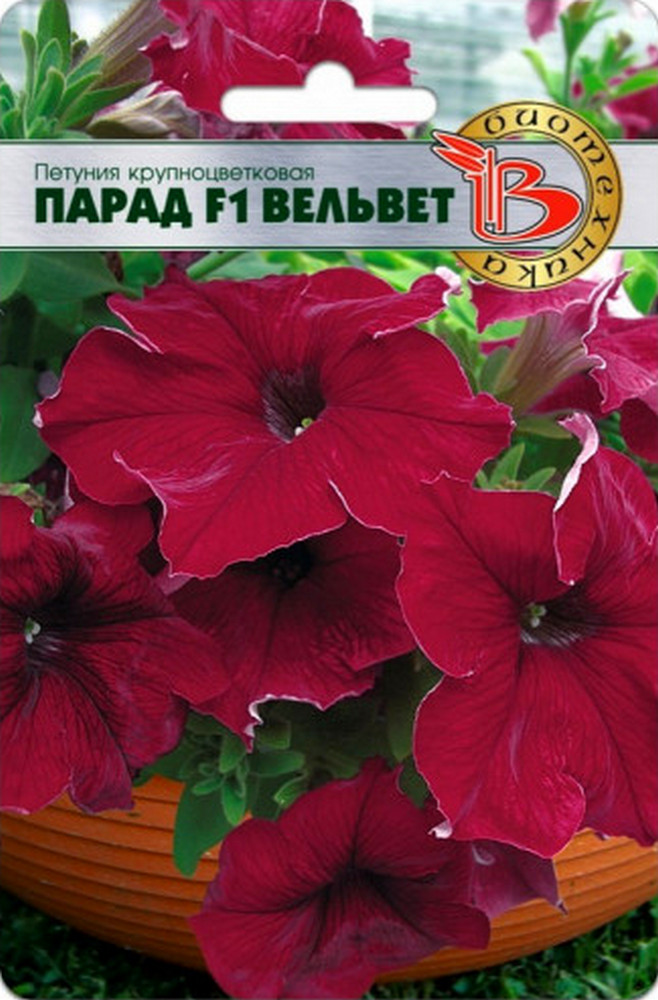 Петуния крупноцветковая Парад F1 Вельвет, 15 шт. Биотехника