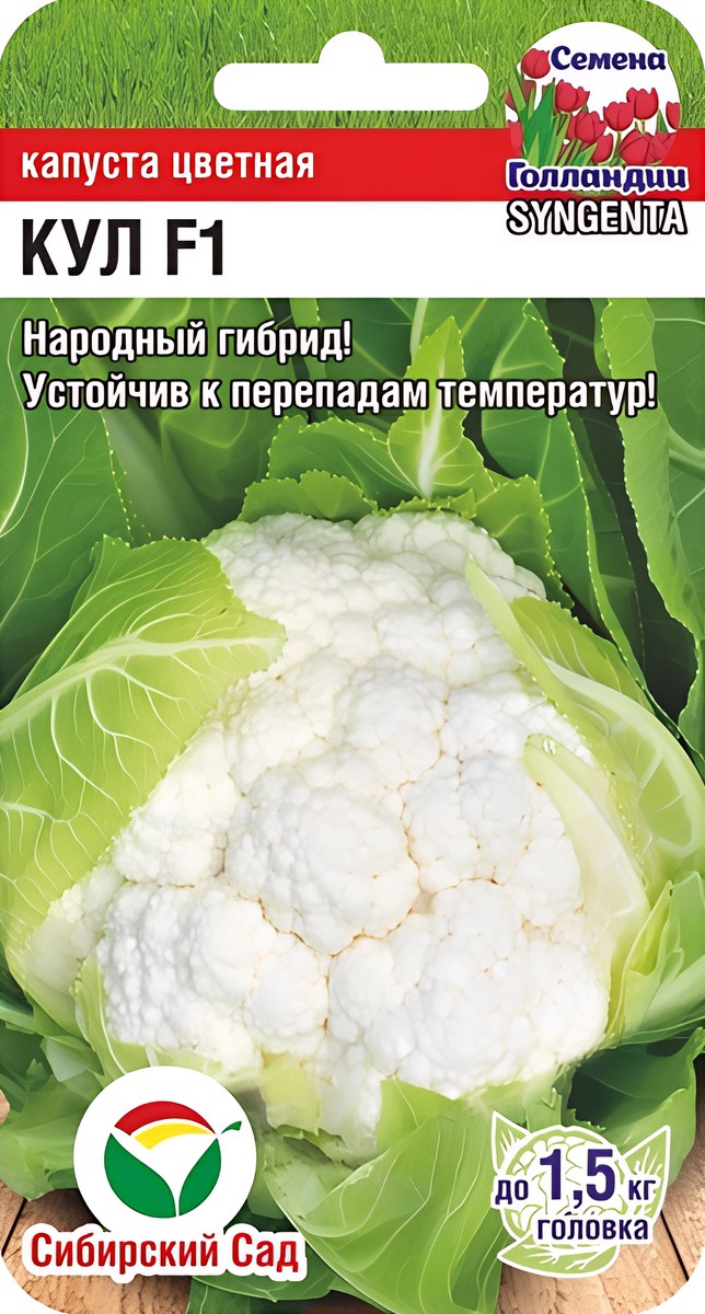 Капуста цветная Кул F1, 10 шт. Голландия. Сибирский сад.