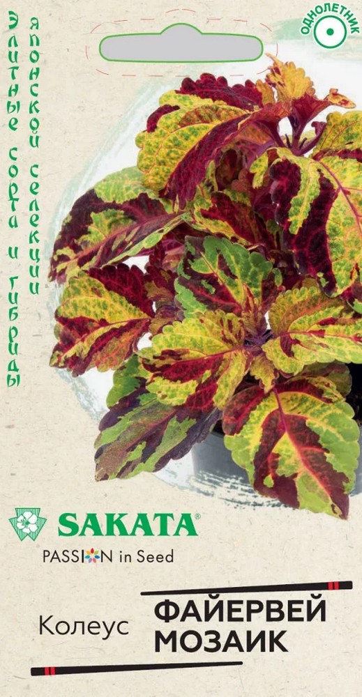 Колеус Файервей Мозаик, 5 шт. Саката.