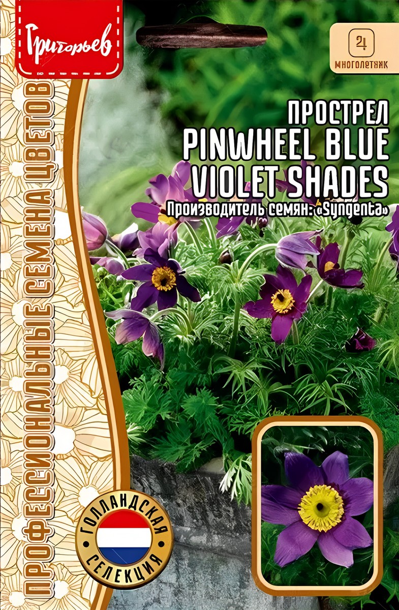 Прострел Pinwheel Blue Violet Shades, 3 шт.