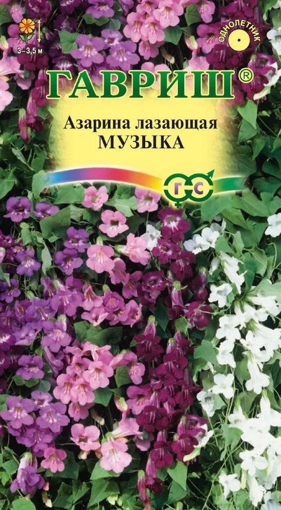 Азарина Музыка, смесь, 5 шт. 