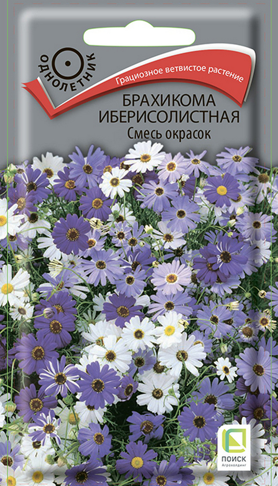Брахикома Иберисолистная Смесь окрасок, 0,03 г