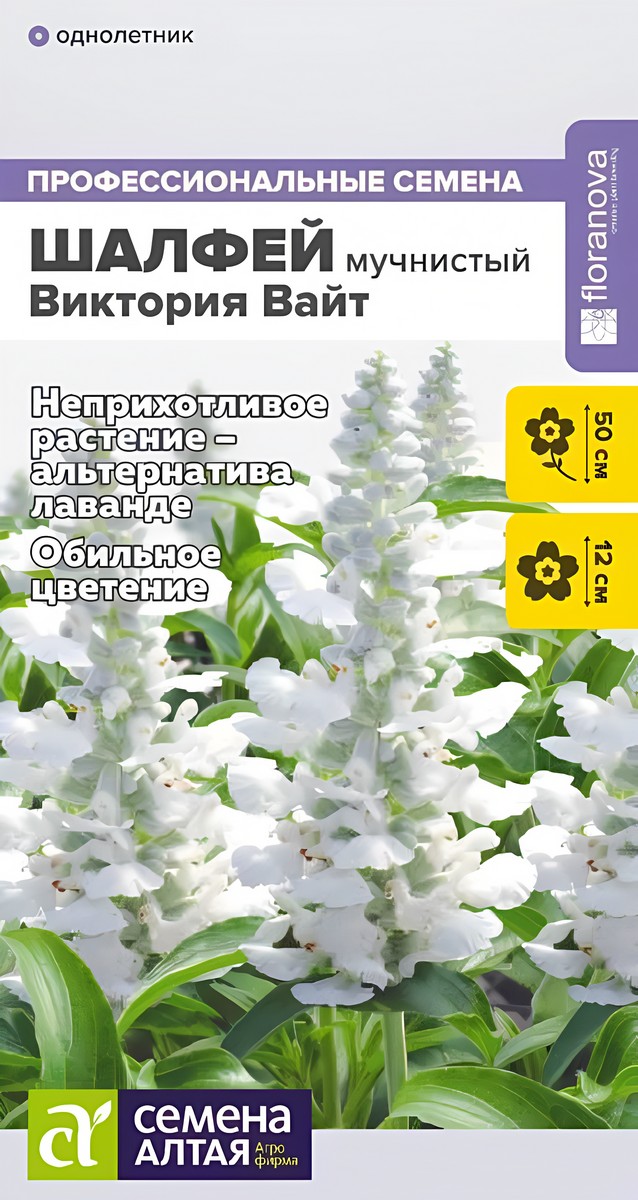 Шалфей Виктория Вайт мучнистый, 10 шт.  