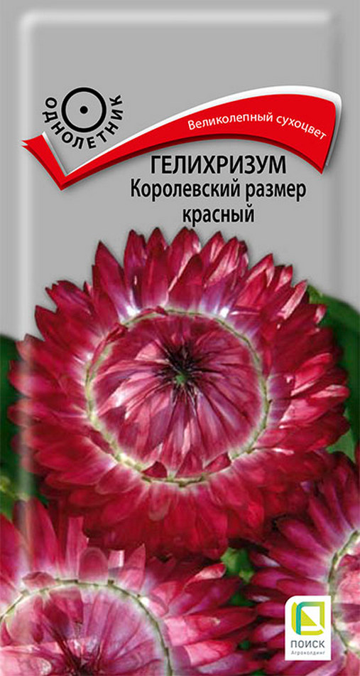 Гелихризум Королевский размер красный, 0,1 г