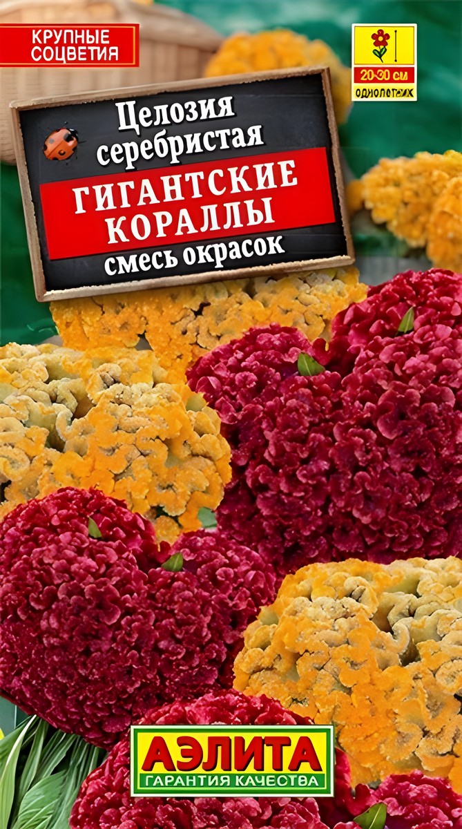 Целозия серебристая Гигантские кораллы, смесь окрасок, 0,1 г