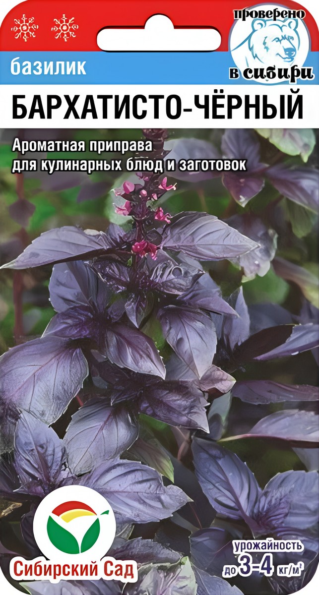 Базилик Бархатисто-черный, 0,5 г. Сибирский сад