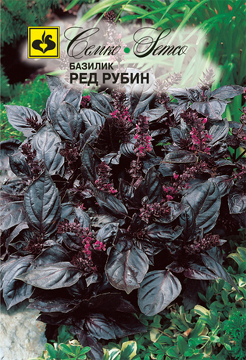 Базилик Ред рубин, 1 г. Семко