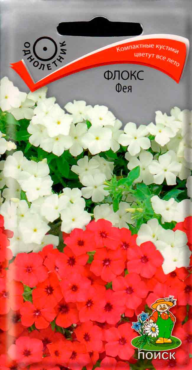 Флокс Фея, 0,1 г