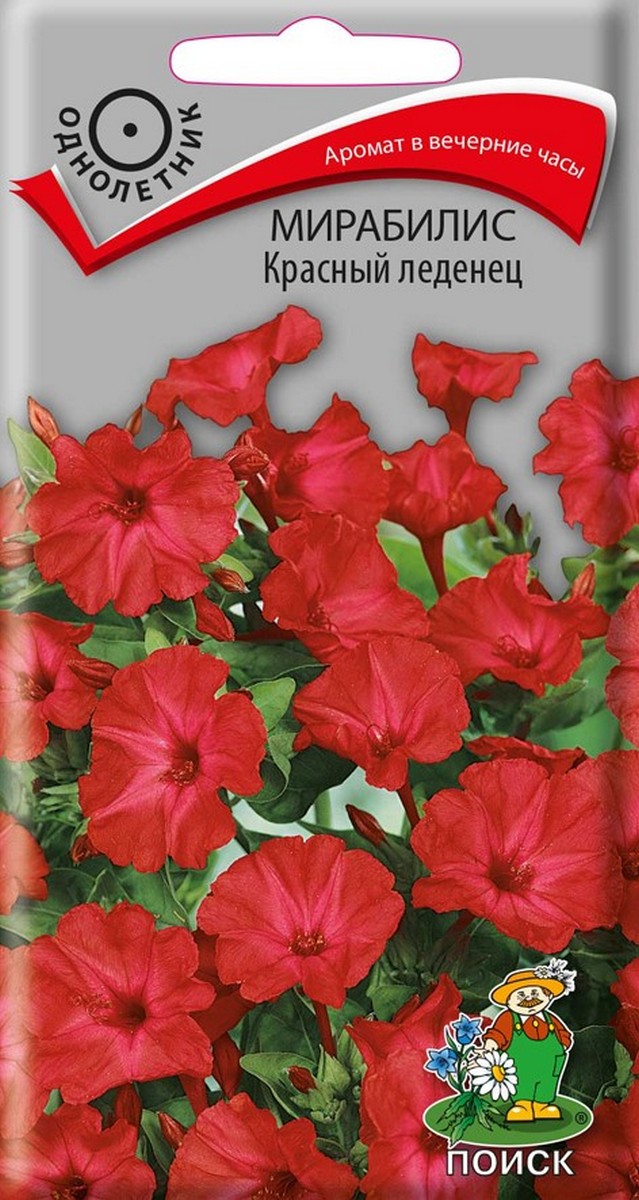 Мирабилис Красный леденец, 1 г