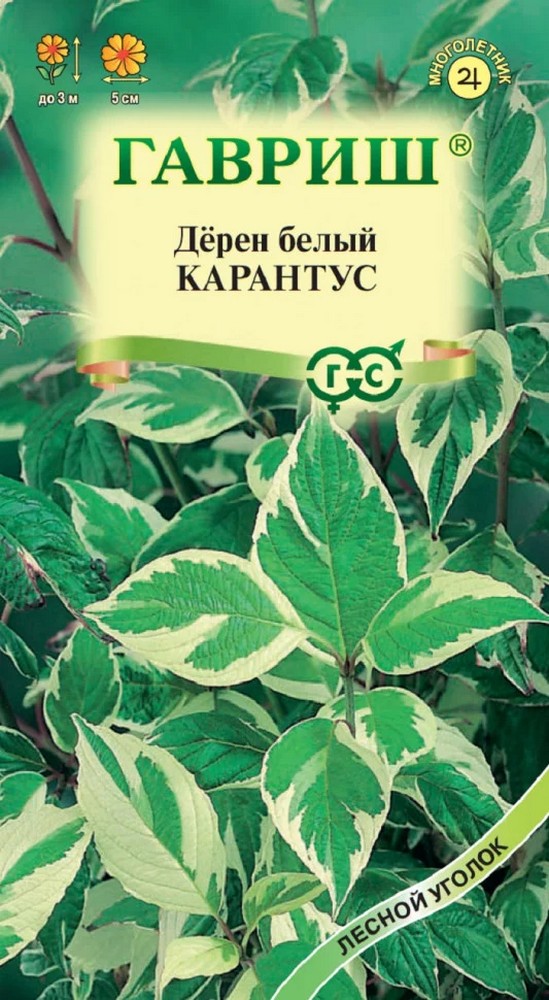 Дерен белый Карантус, 0,1 г. Лесной уголок.
