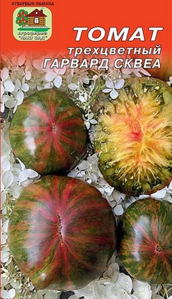 Томат Гарвард Сквеа, 10 шт.
