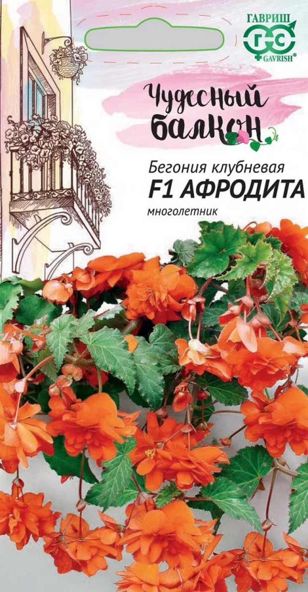 Бегония клубневая Афродита F1, ампельная, 5шт. Чудесный балкон.