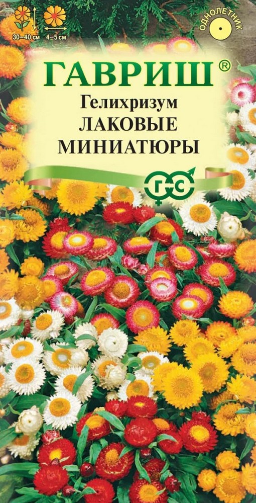 Гелихризум карликовый Лаковые Миниатюры, смесь, 0,1 г