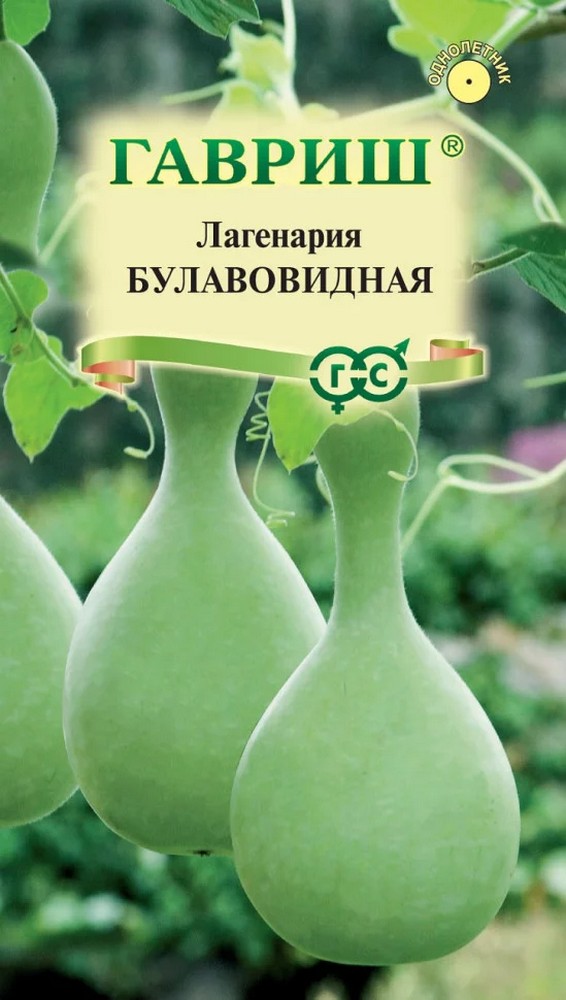 Лагенария Булановидная, 5шт.
