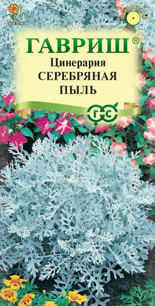 Цинерария приморская Серебряная пыль, 0,1 г