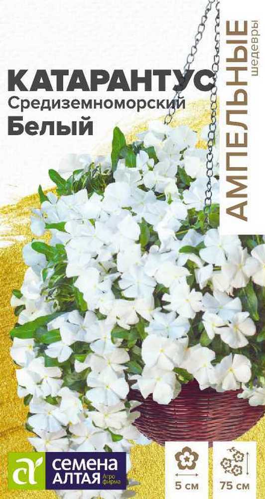 Катарантус Белый  7 шт. Ампельные Шедевры.