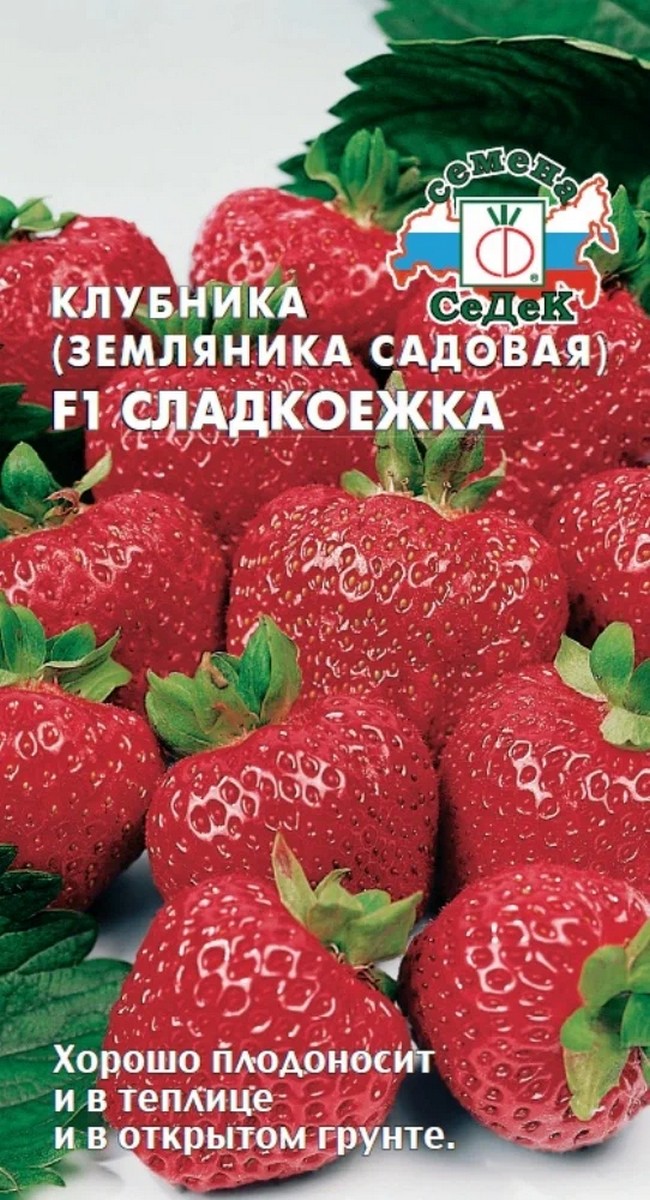 Земляника Сладкоежка F1, ремонтантная, 15 шт.