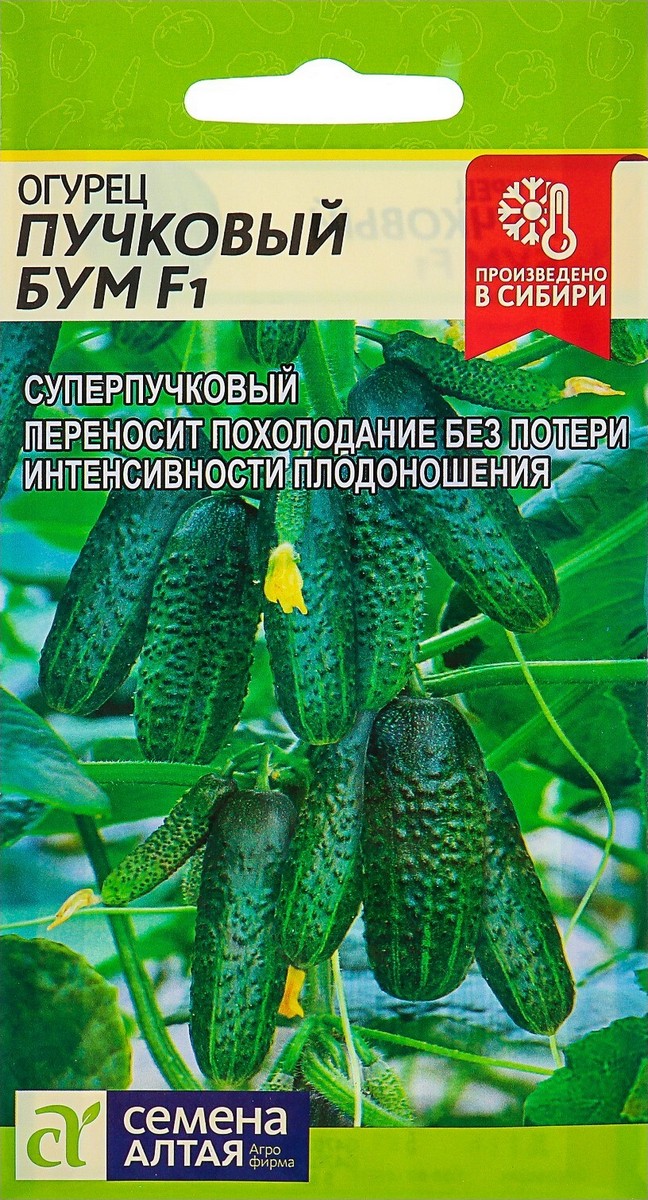Огурец Пучковый Бум F1, 5 шт. 