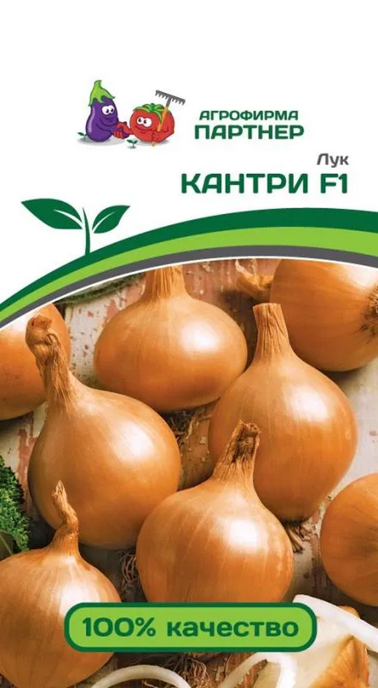 Лук Кантри F1, 0,5 г. Агрофирма Партнер.