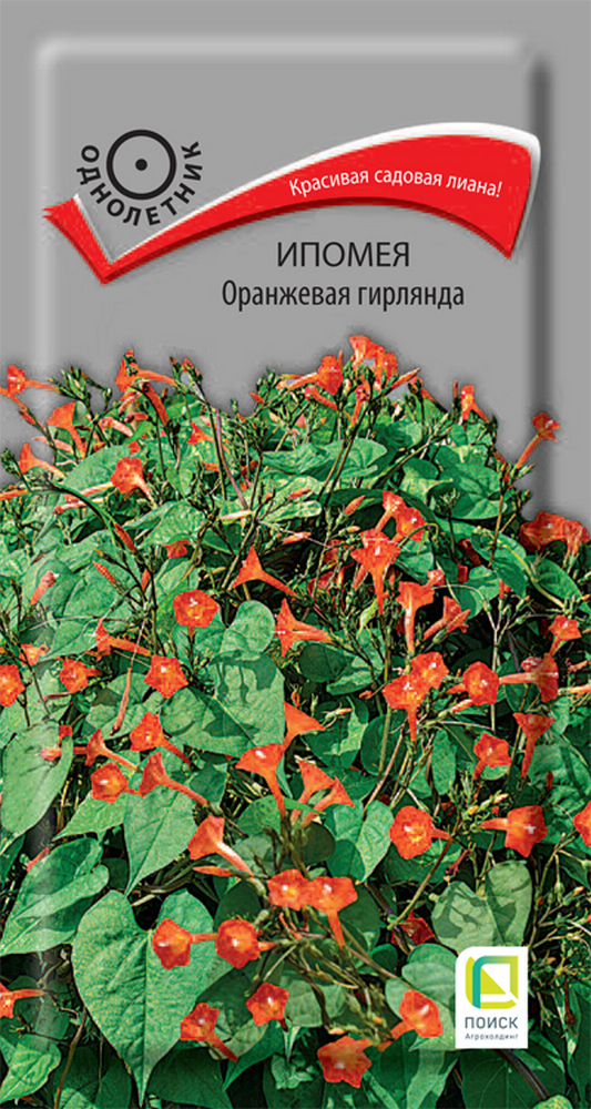 Ипомея Оранжевая гирлянда, 0,3 г