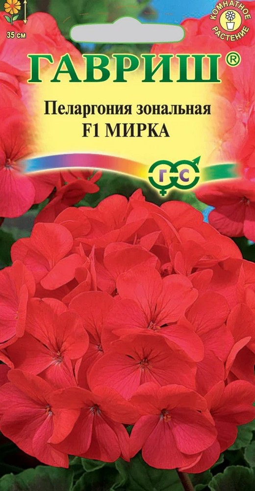 Пеларгония зональная Мирка F1, 4 шт. 