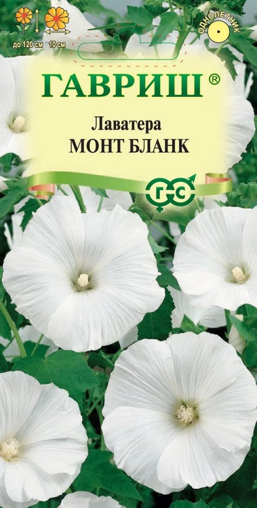 Лаватера Монт Бланк, 0,3 г