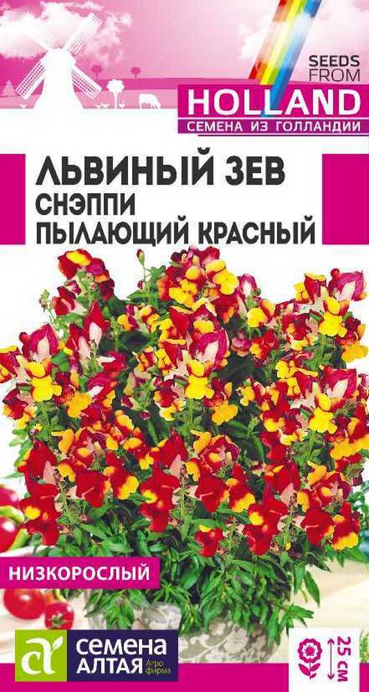 Львиный зев Снэппи Пылающий красный, 10 шт.