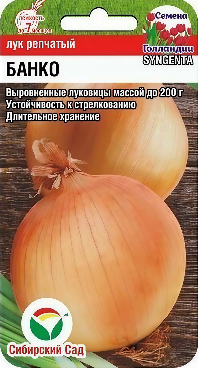 Лук репчатый Банко F1, 200 шт. Сибирский сад