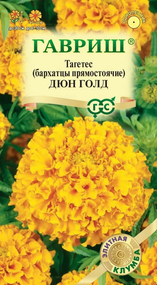 Бархатцы прямостоячие Дюн Голд, 7 шт. Элитная клумба. 