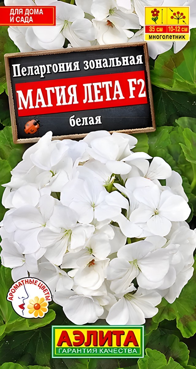 Пеларгония Магия лета F2 белая, 5 шт. 