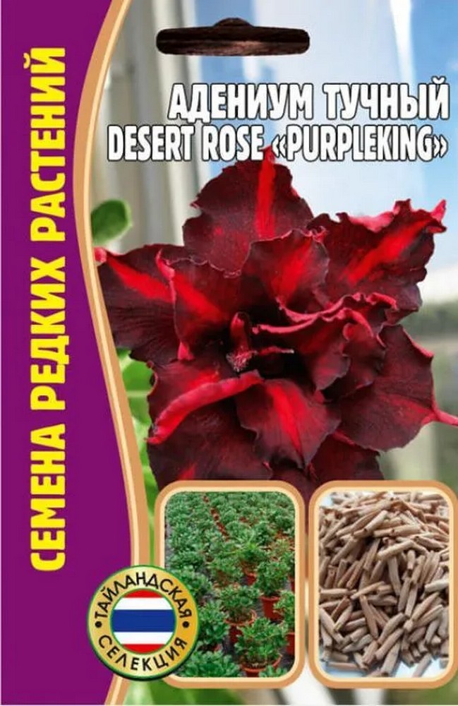 Адениум PurpleKing DESERT ROSE, 3 шт.