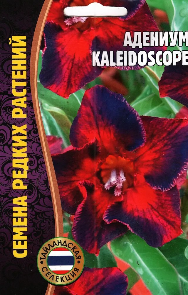 Адениум KALEIDOSCOPE, 3 шт.