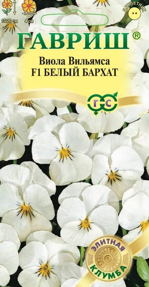 Виола Белый бархат F1, 5 шт. Элитная клумба.