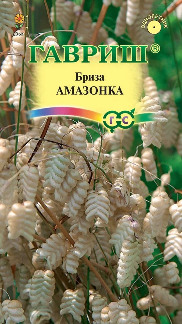 Бриза большая, трясунка Амазонка, 0,1 г