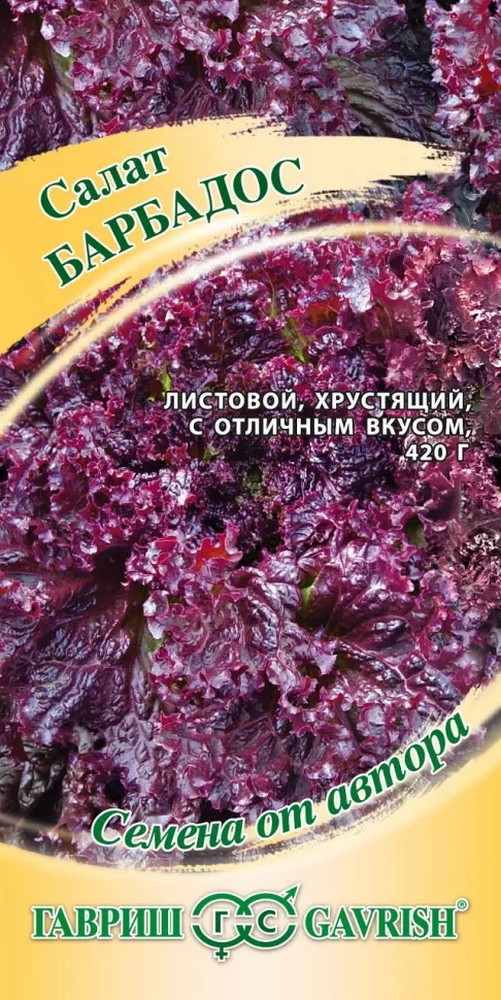 Салат Барбадос, 1 г. Красный Авторские семена. 