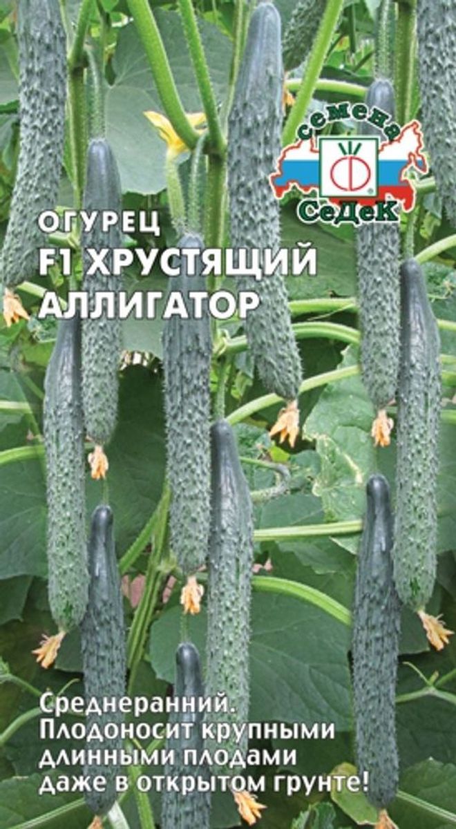 Огурец Хрустящий Аллигатор F1, 0,2 г