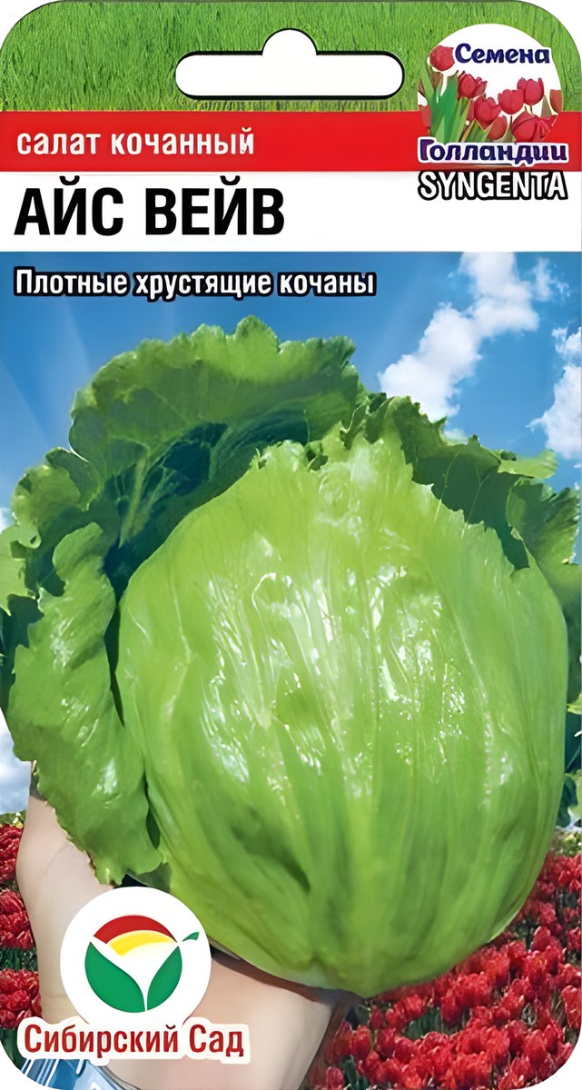 Салат кочанный Айс Вейв, 10 шт. Сибирский сад