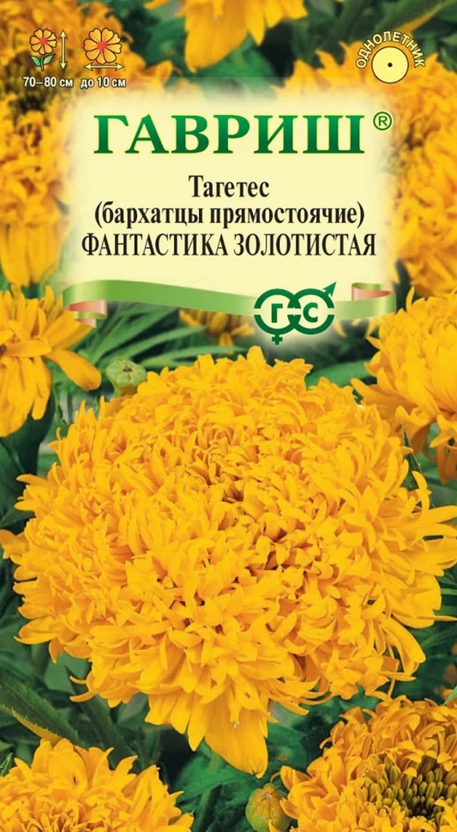 Бархатцы прямостоячие, тагетес, Фантастика золотистая, 0,1 г. Цветочная коллекция.