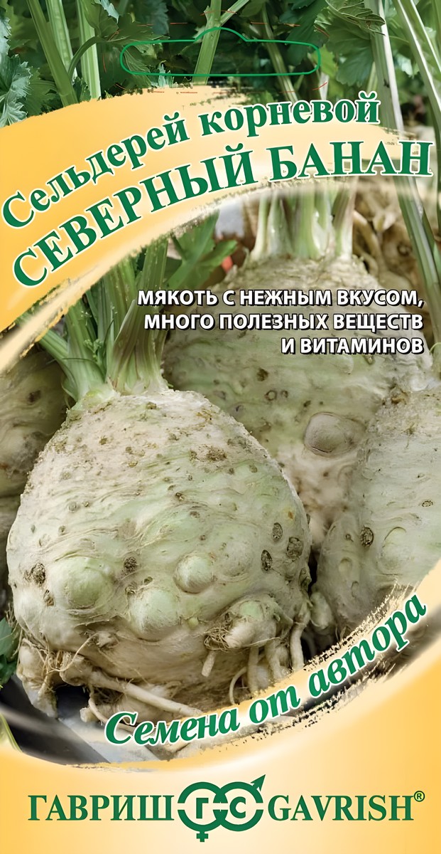 Сельдерей корневой Северный банан, 0,3 г. Семена от автора.