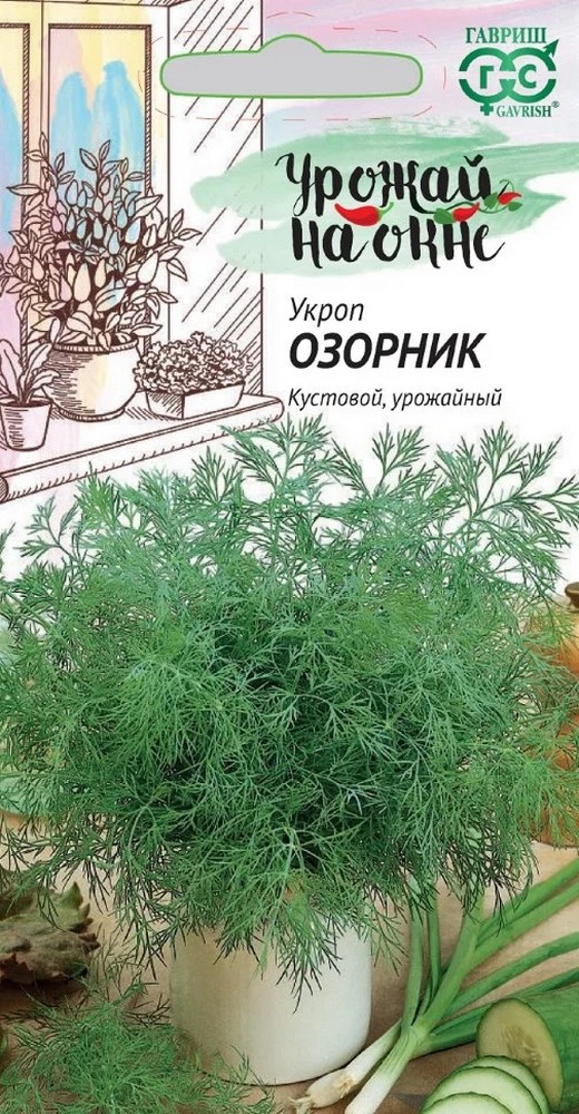 Укроп Озорник, 2 г. Урожай на окне.