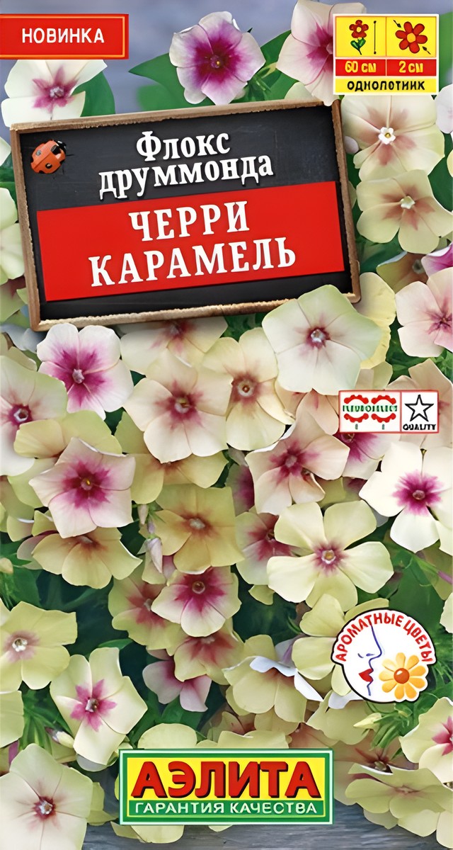 Флокс друммонда Черри карамель, 20 шт.