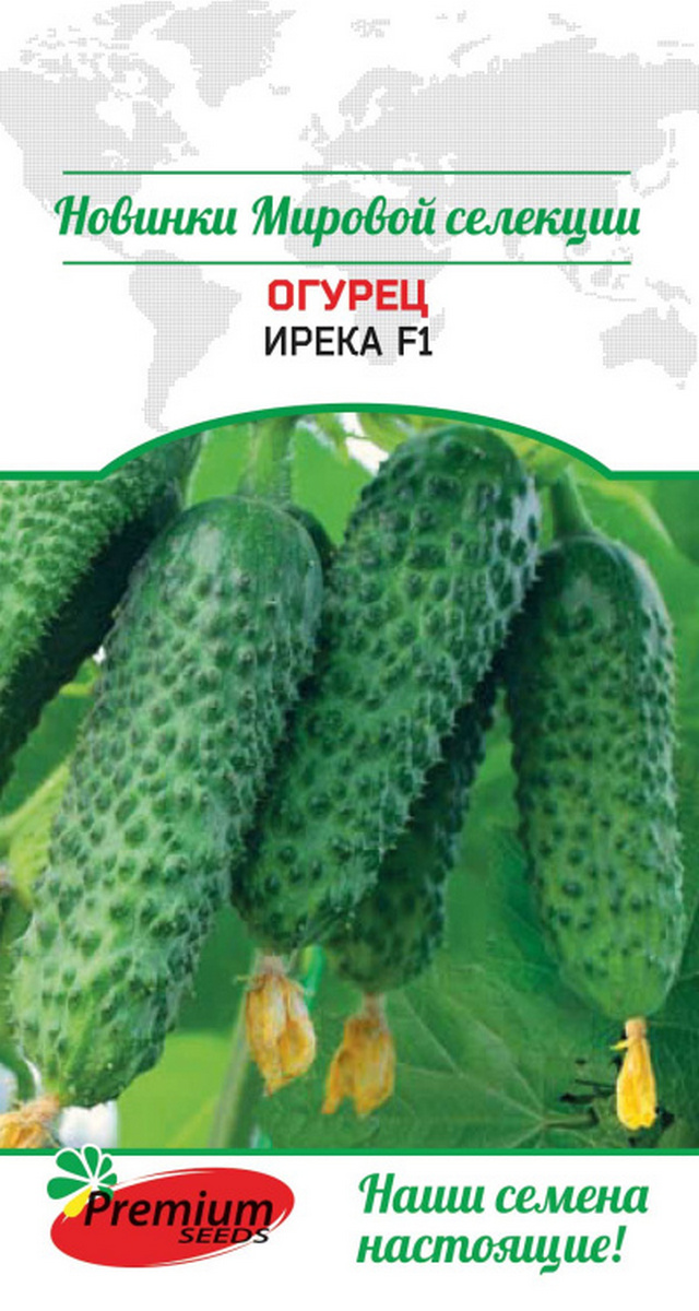 Огурец Ирека F1, 5 шт.