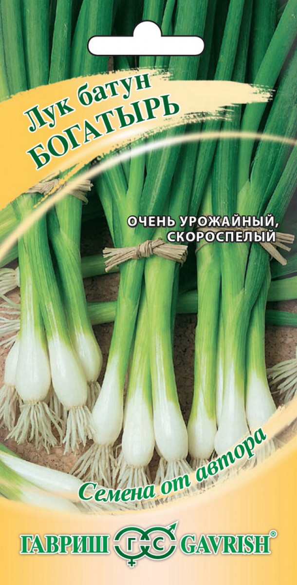 Лук батун Богатырь, 0,5 г. Авторские семена. 