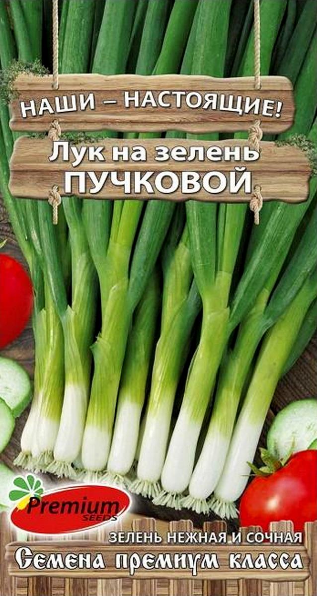 Лук на зелень пучковой, 1 г