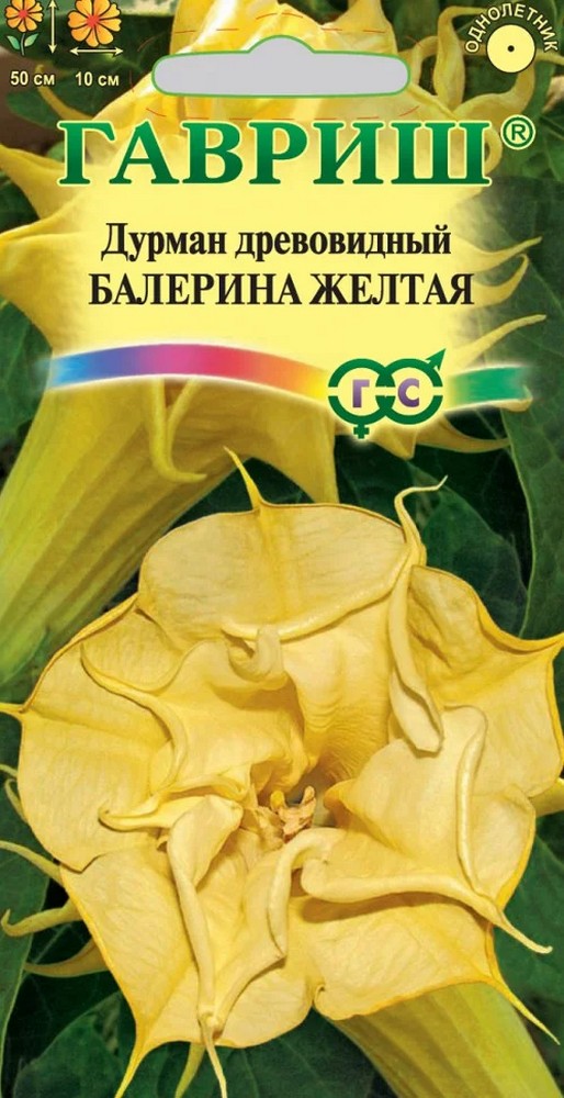 Дурман Балерина желтая (махровая), 3 шт. 