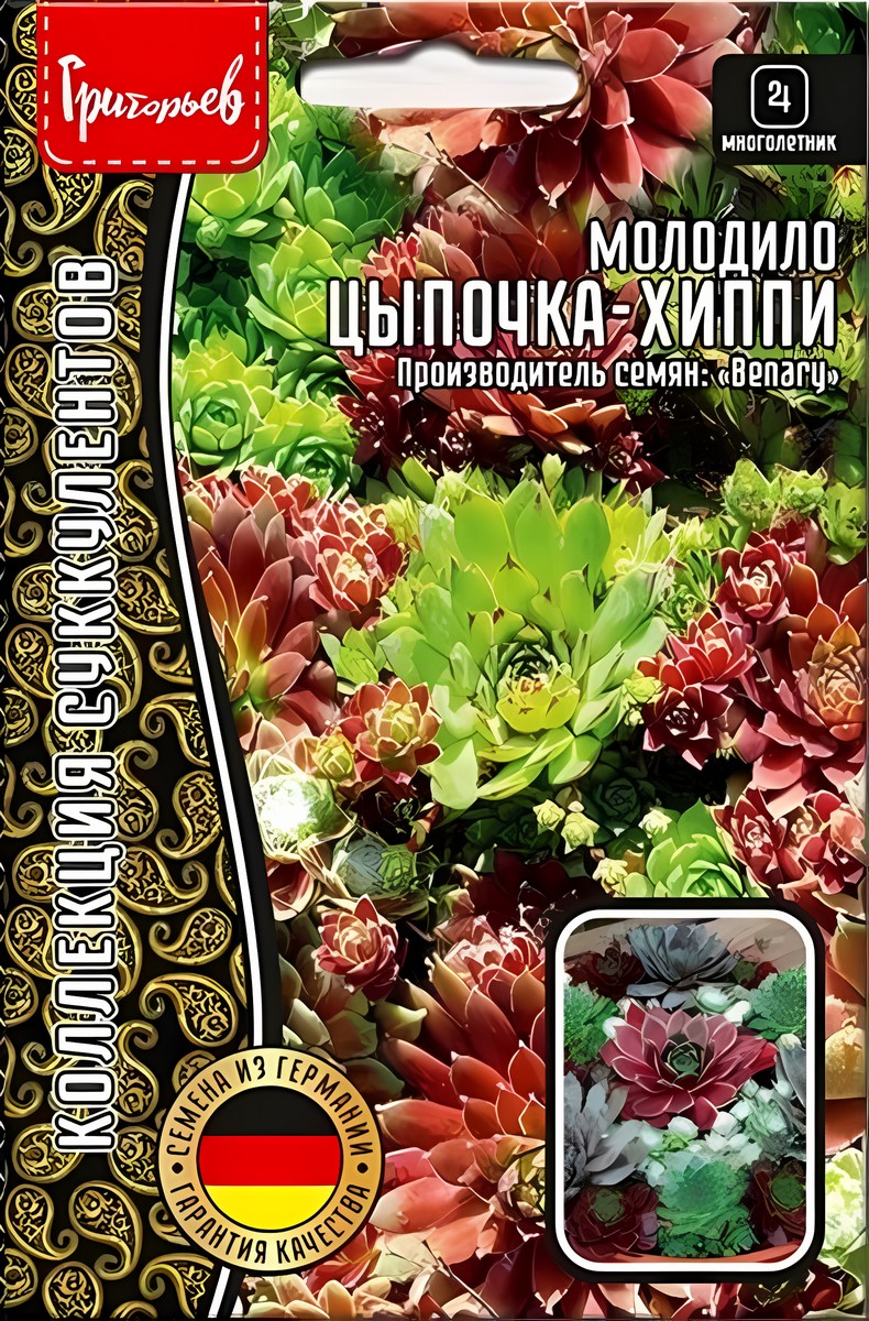 Молодило Цыпочка-Хиппи, 5 шт. драже.