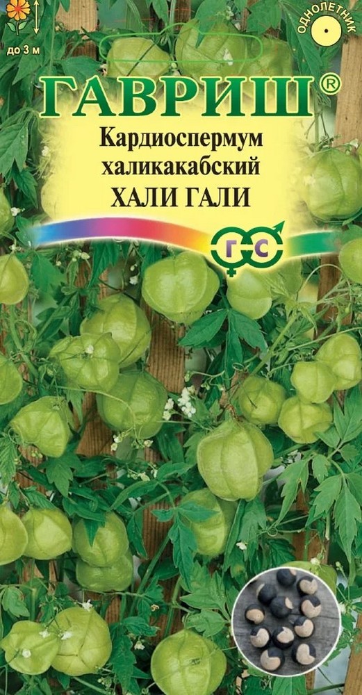 Кардиоспермум халикакабский Хали гали,1 г