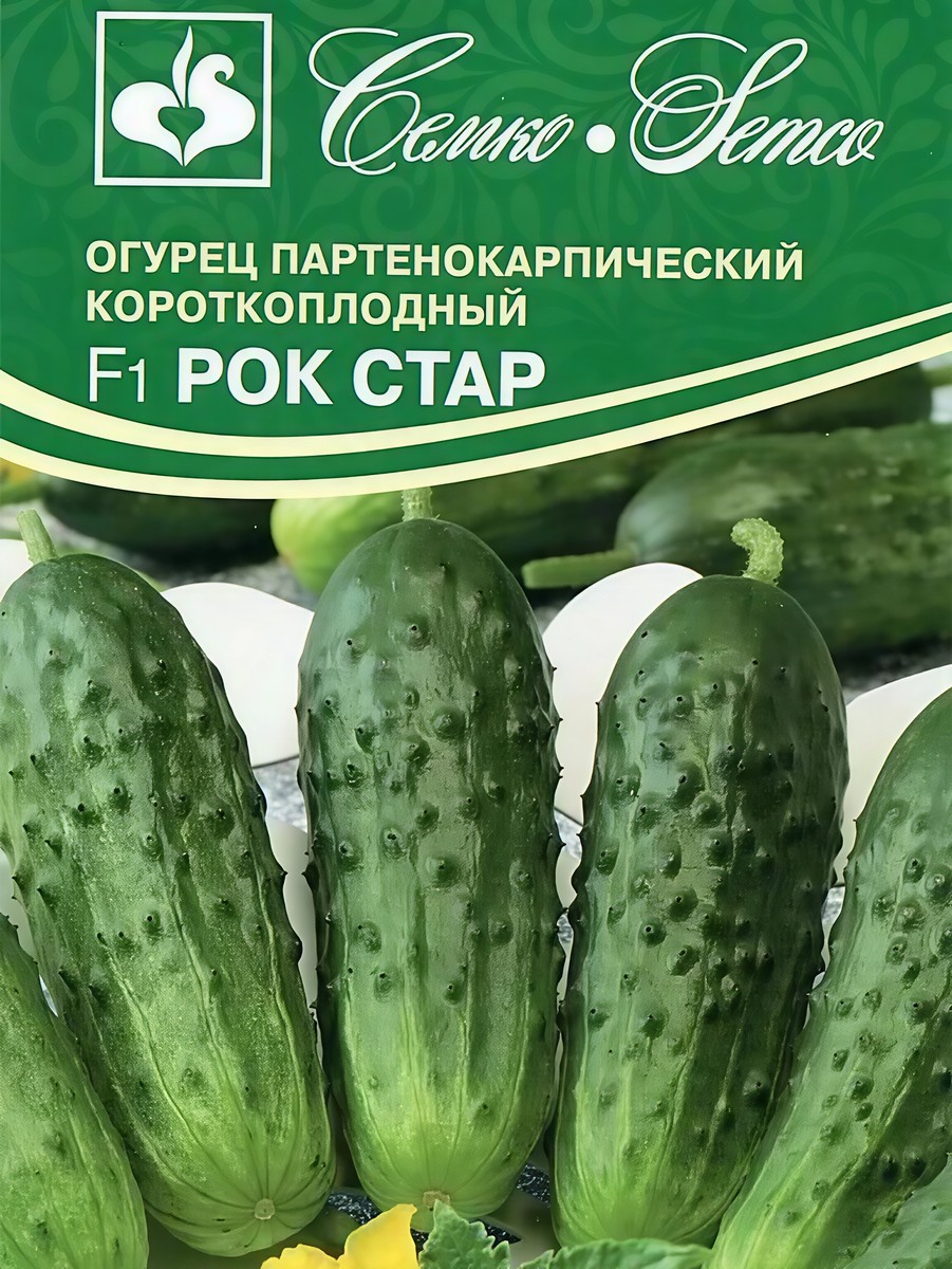 Огурец Рок Стар F1 пакет